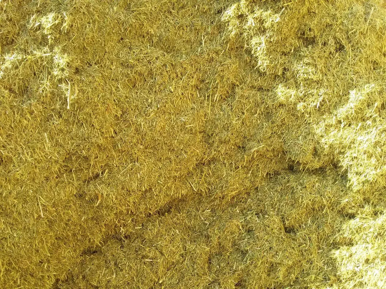 یونجه مرگور|لوازم جانبی حیوانات|ارومیه, |دیوار