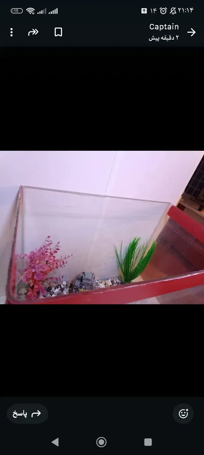 لوازم جانبی حیوانات|ماهی|ایرانشهر, |دیوار