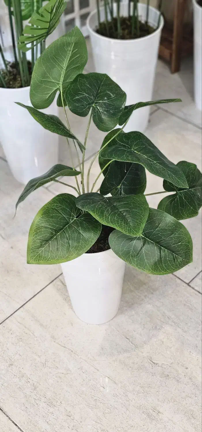 شلف گلدان گیاه درختچه مصنوعی دکوری ریسه آویز شمشاد|صنایع دستی و سایر لوازم تزئینی|تبریز, |دیوار