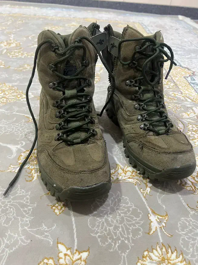 کفش امریکایی اصلی|کیف، کفش، کمربند|بانه, |دیوار