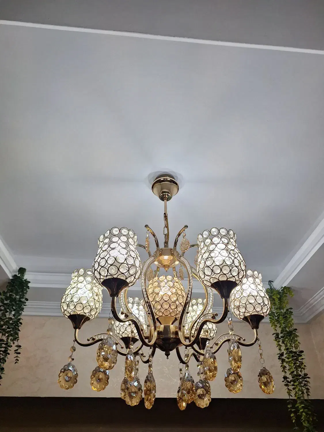 لوستر 6شاخه|لوستر و چراغ آویز|پاکدشت, پاکدشت (مامازند)|دیوار