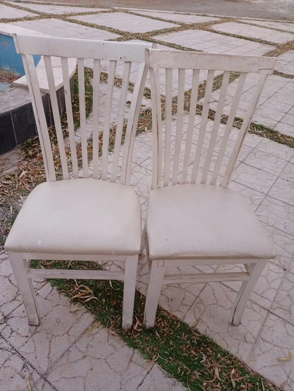 صندلی|میز و صندلی غذاخوری|قروه, |دیوار