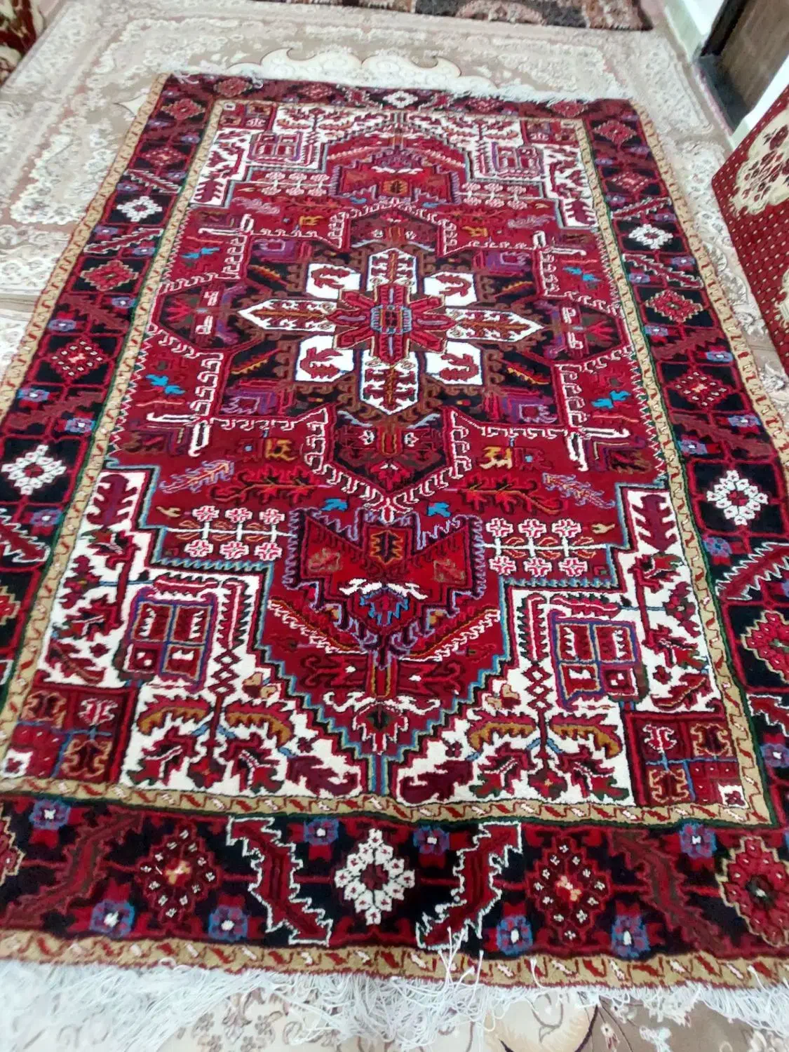 فرش ۹ متری دستبافت هریس|فرش|خواجه, |دیوار