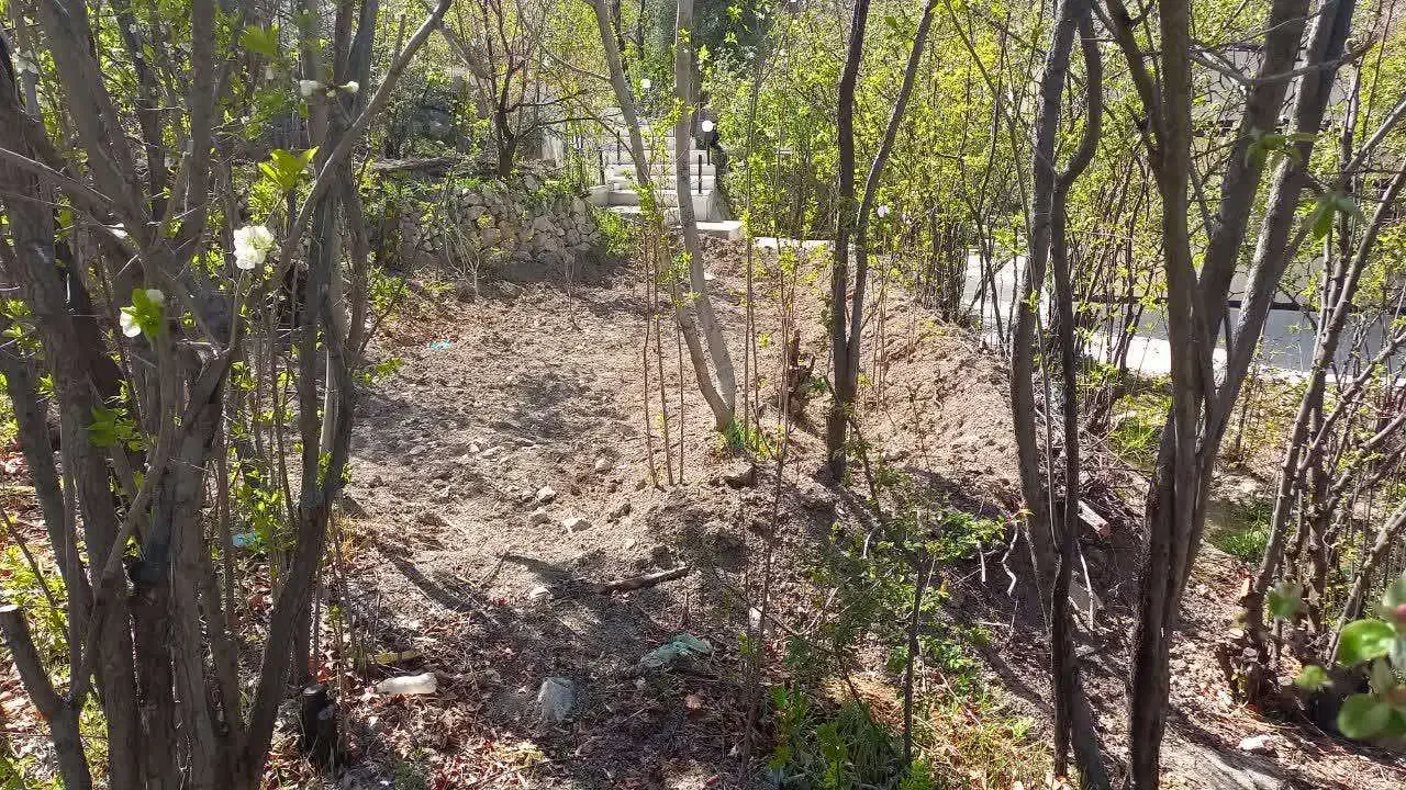 فروش باغستان سیاه میوه در پلنگان|فروش زمین و ملک کلنگی|نیریز, |دیوار