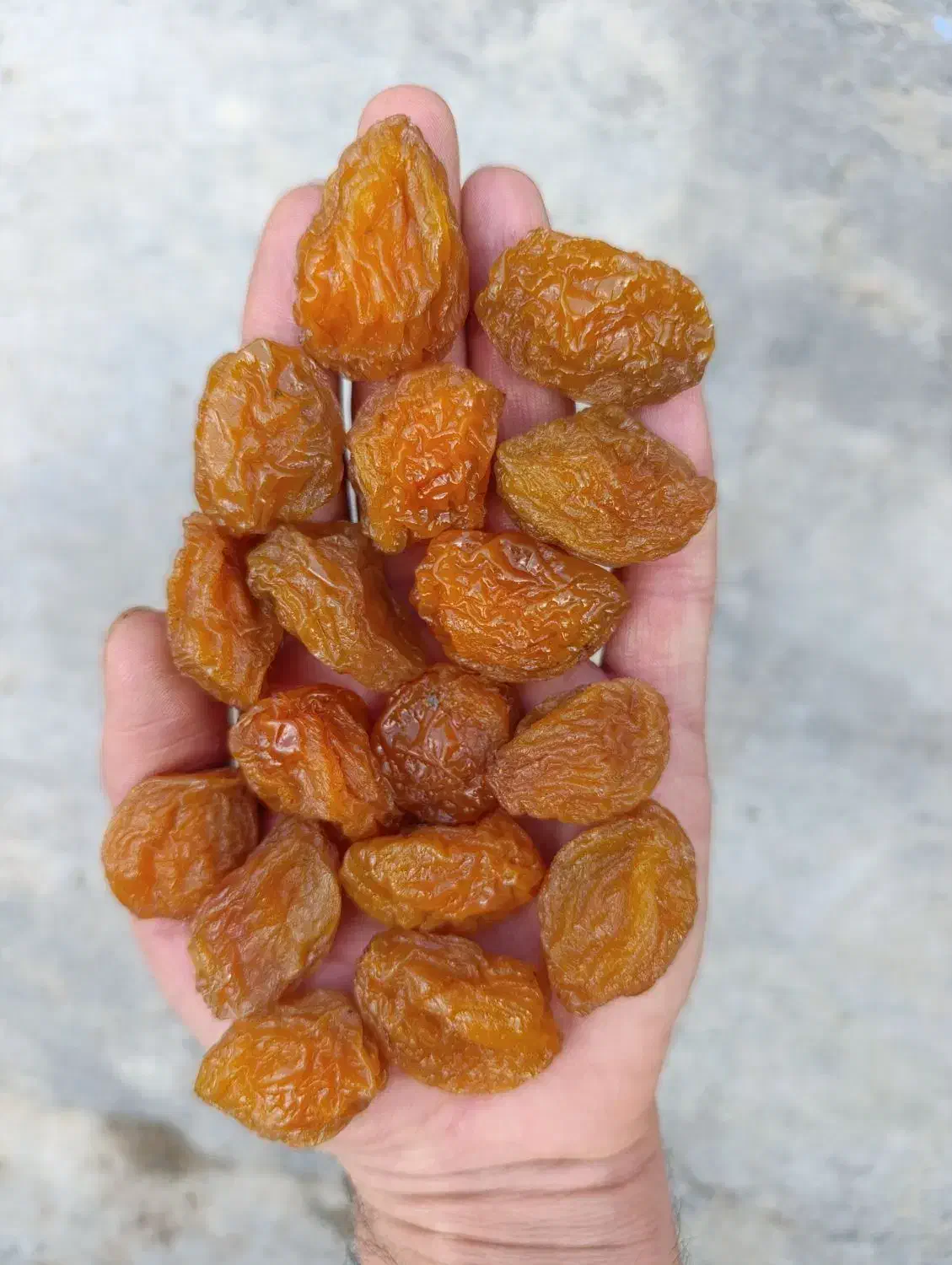 آلو جوشی زرد درجه ۱|خوردنی و آشامیدنی|کرمانشاه, |دیوار