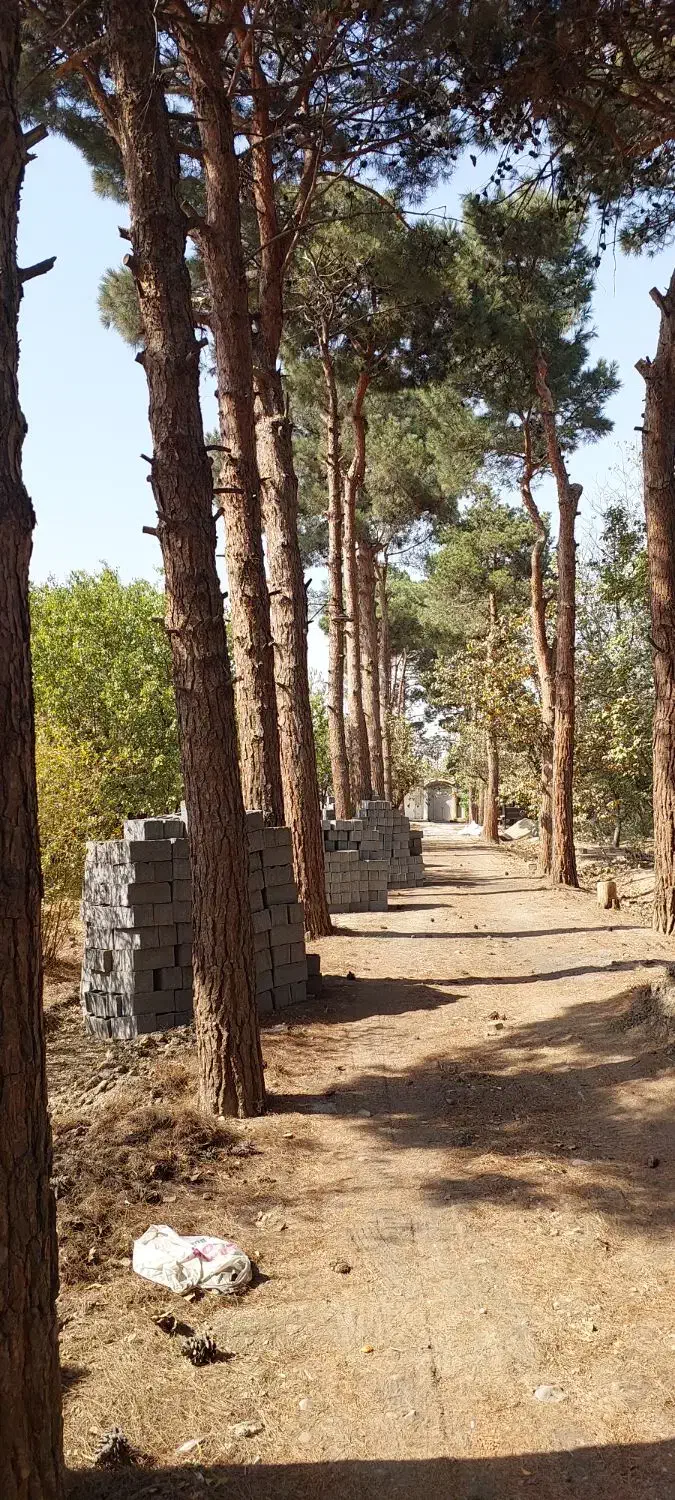 باغ ویلا1950متری/شهریار/دهشاد/میدان نماز/جنت آباد|فروش خانه و ویلا|شهریار, دهشاد بالا|دیوار