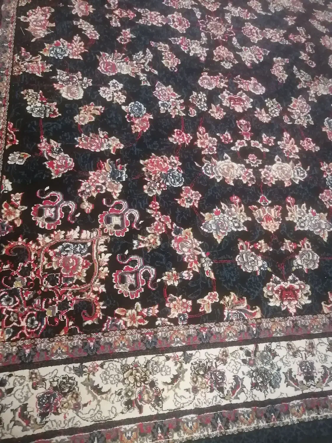 فرش|فرش|داراب, |دیوار