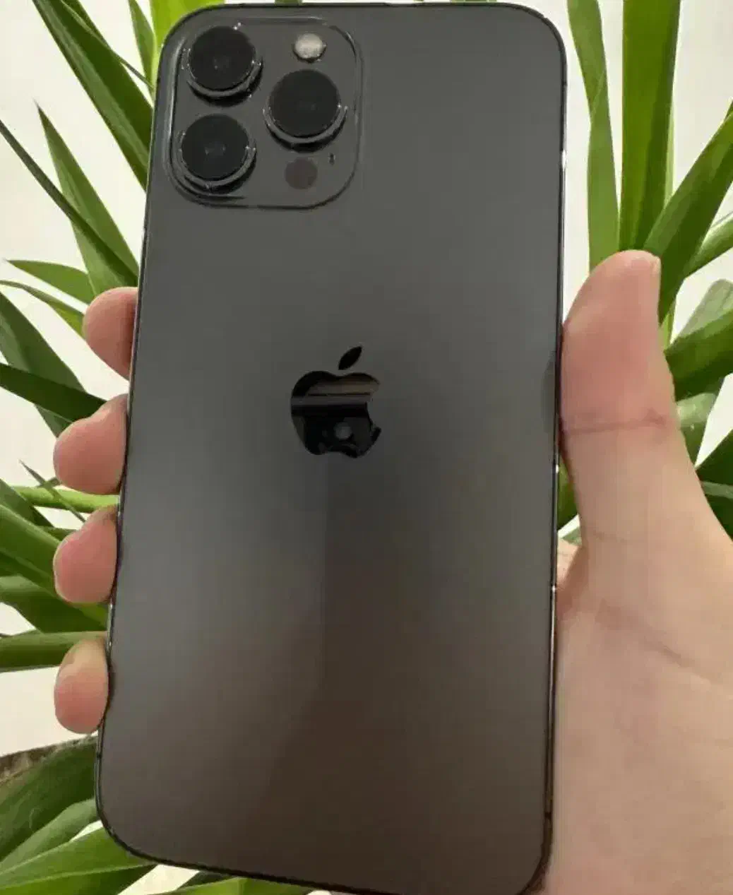 آیفون ۱۳ پرومکس|موبایل|تبریز, |دیوار