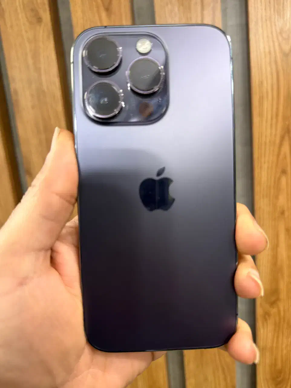 ایفون ۱۴ پرو|موبایل|رشت, چله خانه|دیوار