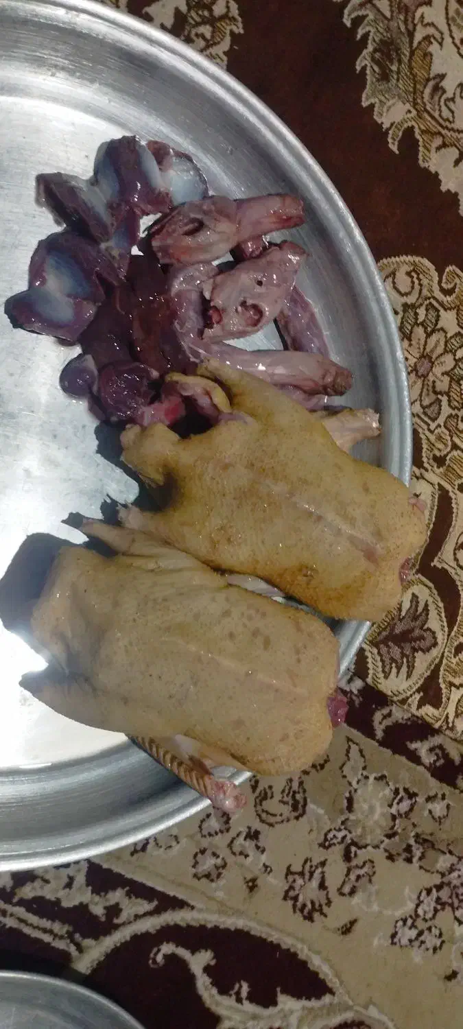 اردک پاک کرده|حیوانات مزرعه|بندر انزلی, خوش پیک|دیوار