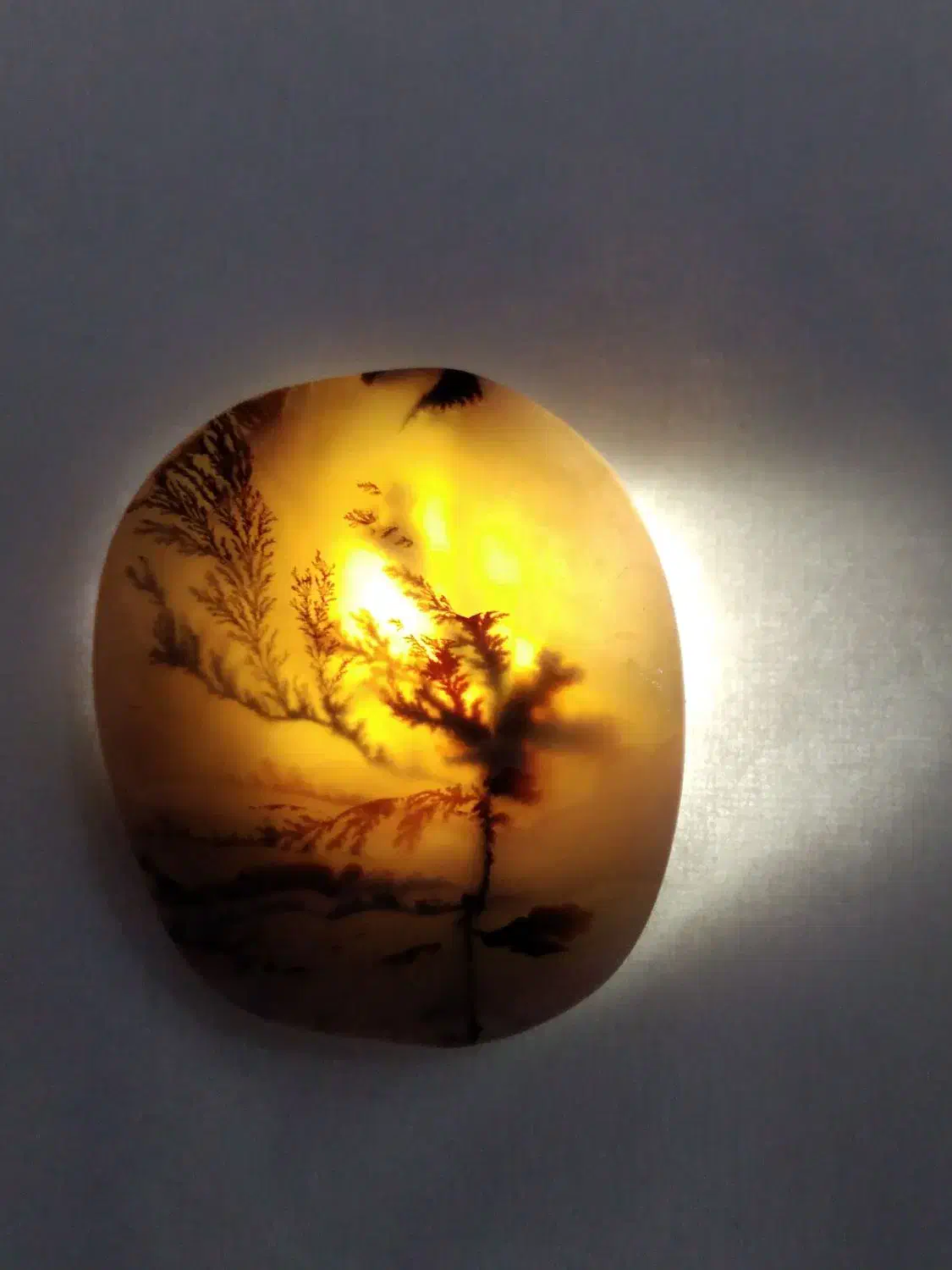 سنگ شجر سوزنی|کلکسیون اشیاء عتیقه|کرمانشاه, |دیوار