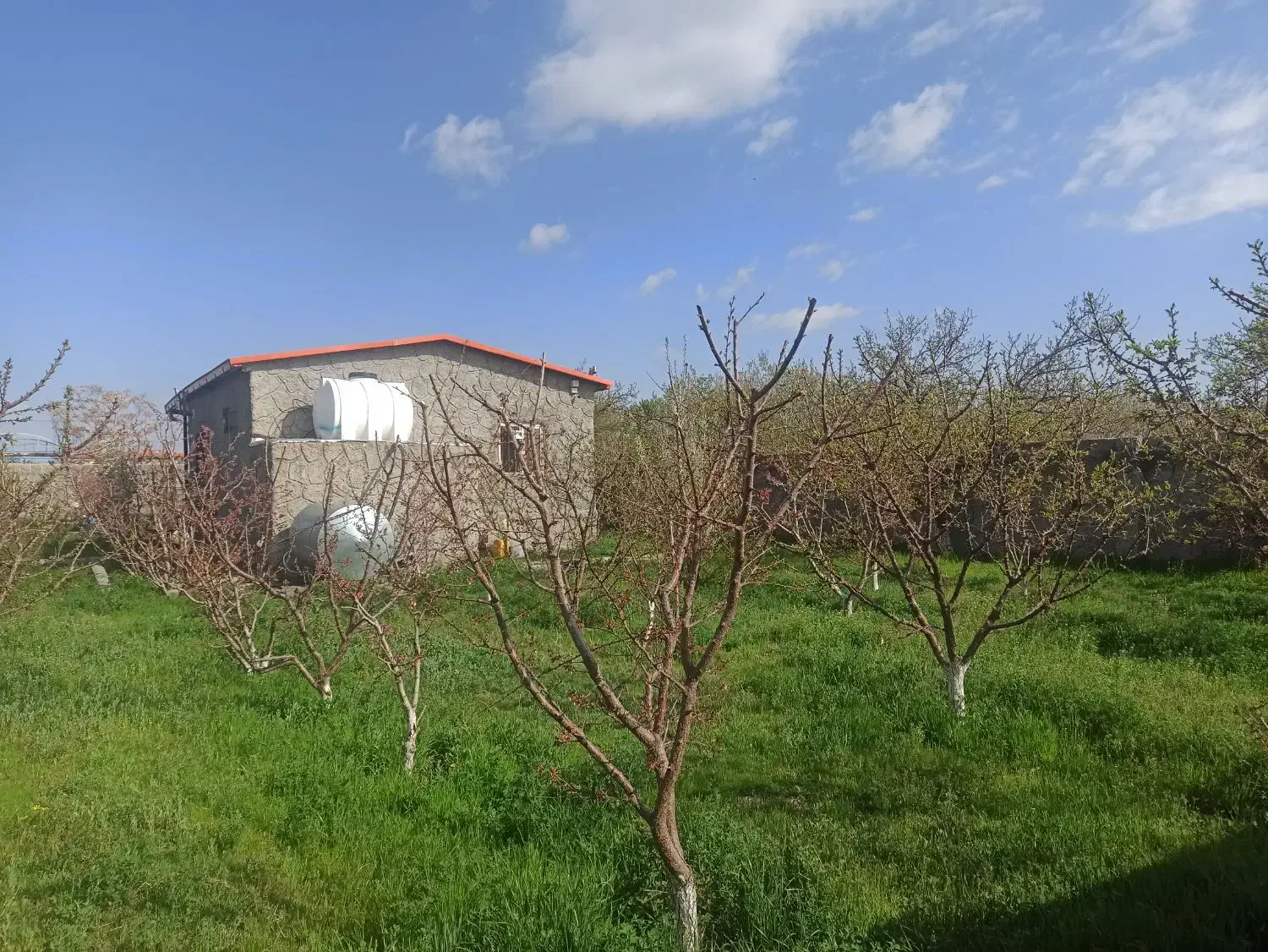 ویلا باغ کاملا آماده و دنج محدوده شبستر علی بیگلو|فروش خانه و ویلا|شبستر, |دیوار