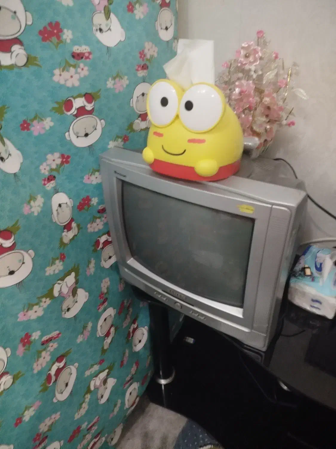 تلویزیون ۱۴اینچ|تلویزیون و پروژکتور|لنجان, |دیوار