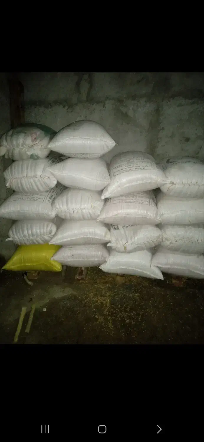 گندم|خدمات باغبانی و درختکاری|قره قوین, |دیوار