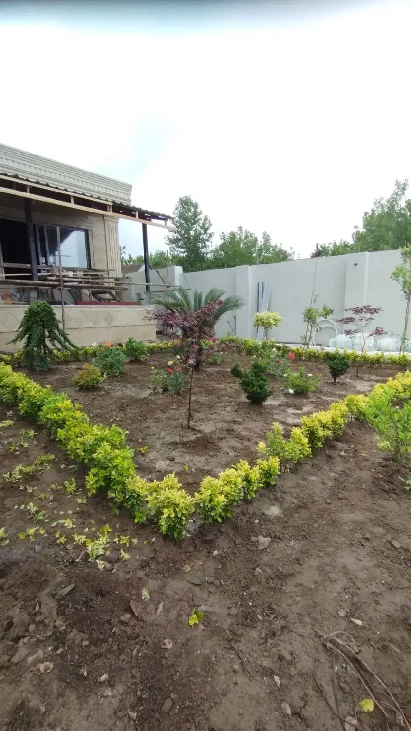 علف زنی،هرس،سمپاشی،طراحی وکاشت|خدمات باغبانی و درختکاری|آستانه اشرفیه, |دیوار