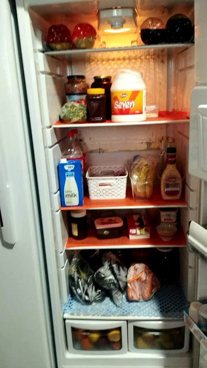 یخجال دوقلوی سوزان|یخچال و فریزر|ترکمانچای, |دیوار