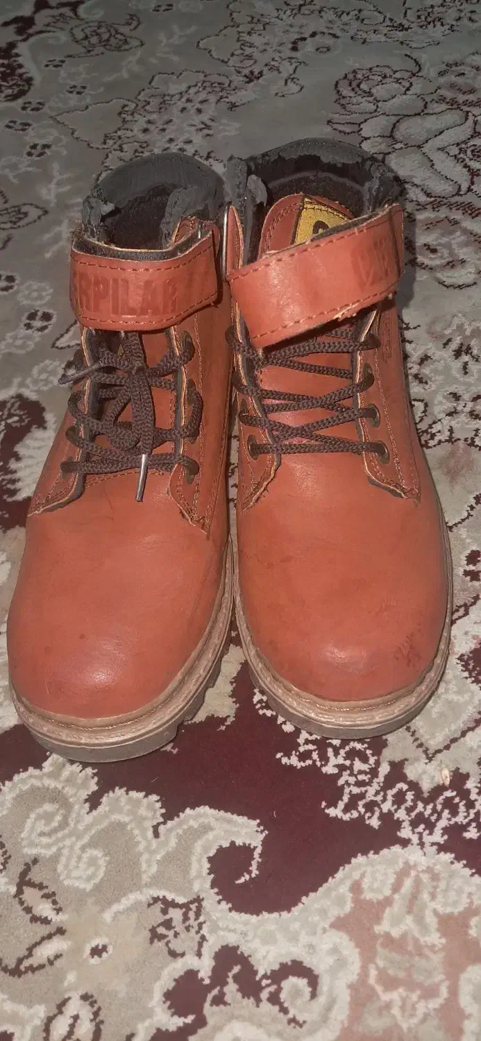 کفش|کیف، کفش، کمربند|رشت, بیجارپس|دیوار