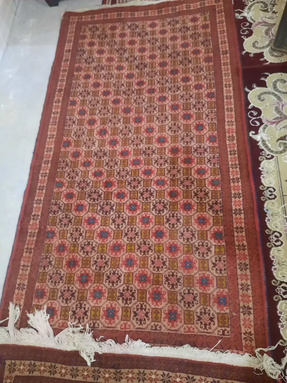 قالیچه دست باف پشمی|فرش|خواف, |دیوار