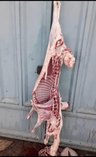 قصاب|استخدام خدمات فروشگاه و رستوران|آبادان, |دیوار