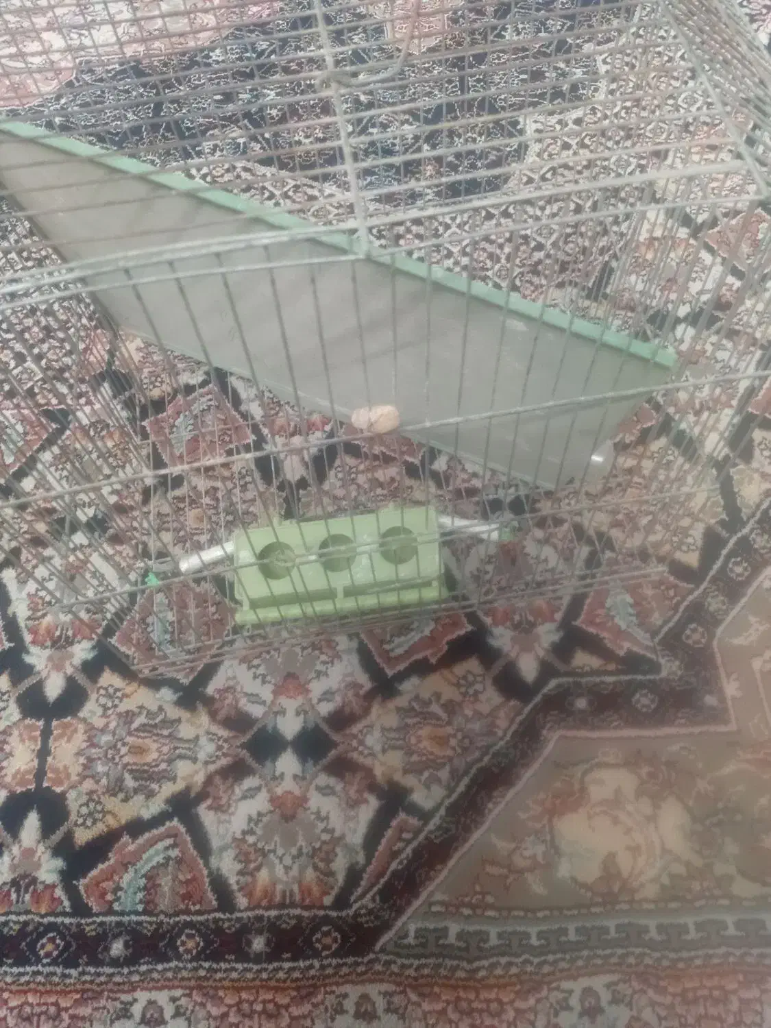 قفس پرنده وجا قابلمه وسینگ وروکش ماشین|لوازم جانبی حیوانات|خرمشهر, |دیوار