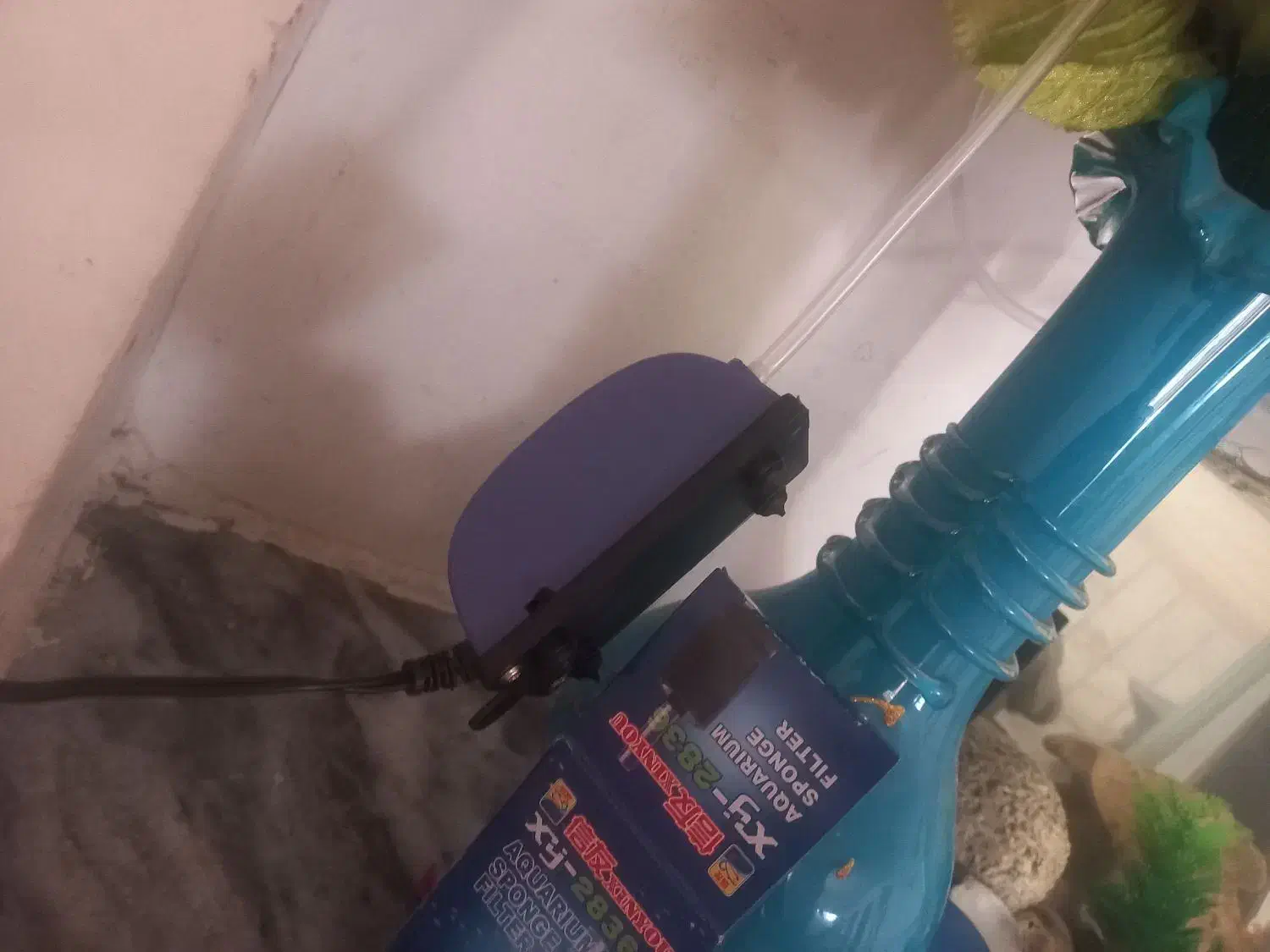 آکواریوم شیشه خم شرکتی|ماهی|خرم‌آباد, |دیوار