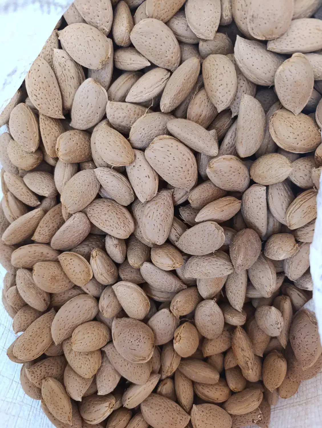 فروش بادام شیرین|خوردنی و آشامیدنی|شیراز, دوکوهک|دیوار
