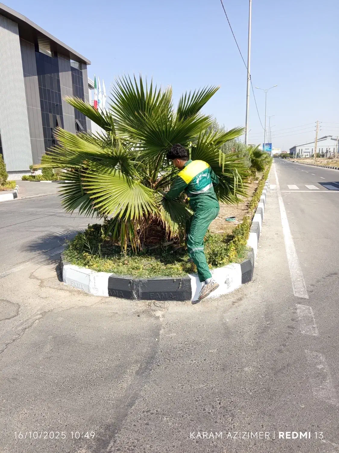 کارگر فضای سبز|خدمات باغبانی و درختکاری|صفادشت, |دیوار