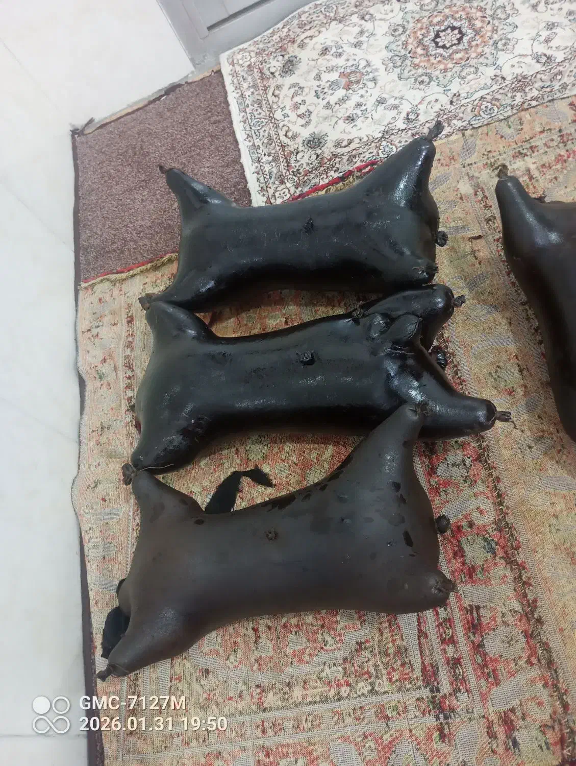 هیزه ی درجه یک|ظروف نگهدارنده، پلاستیکی، یک‌بارمصرف|جوانرود, |دیوار