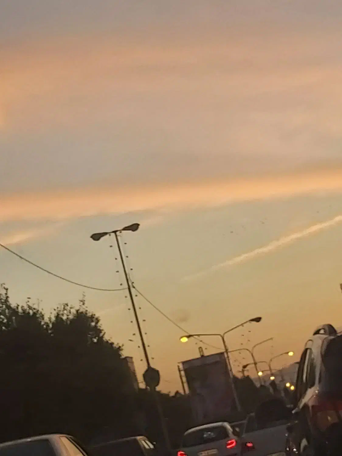 یک باب مغازه|فروش مغازه و غرفه|مرودشت, بیست متری بیمارستان|دیوار