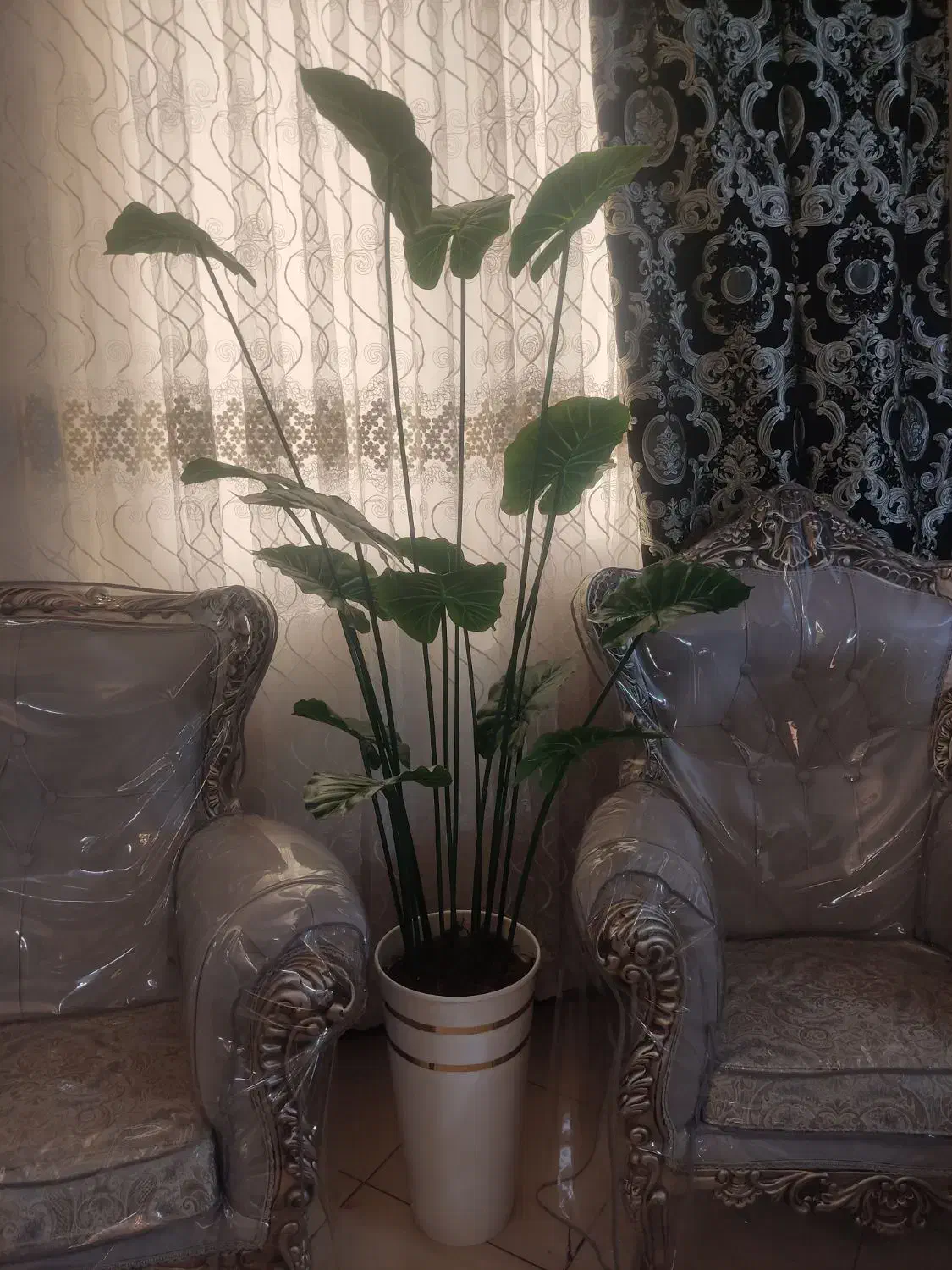 گل‌های آپارتمانی|گل مصنوعی|اسلام‌شهر, مطهری|دیوار