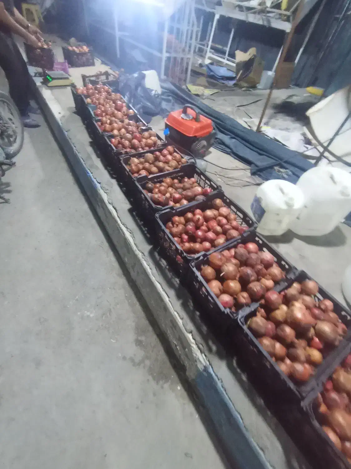 انار مخصوص پلویی|خوردنی و آشامیدنی|بندرعباس, |دیوار