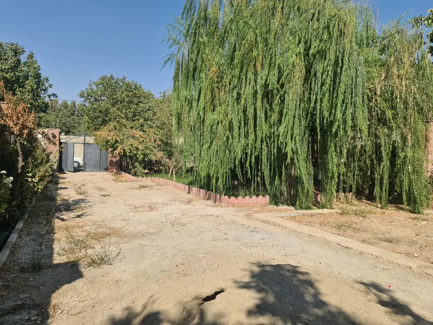 ۸۰۰ متر سند تک برگ کنتور برق گاز اب سهیلیه|فروش خانه و ویلا|هشتگرد, کوی یاران|دیوار