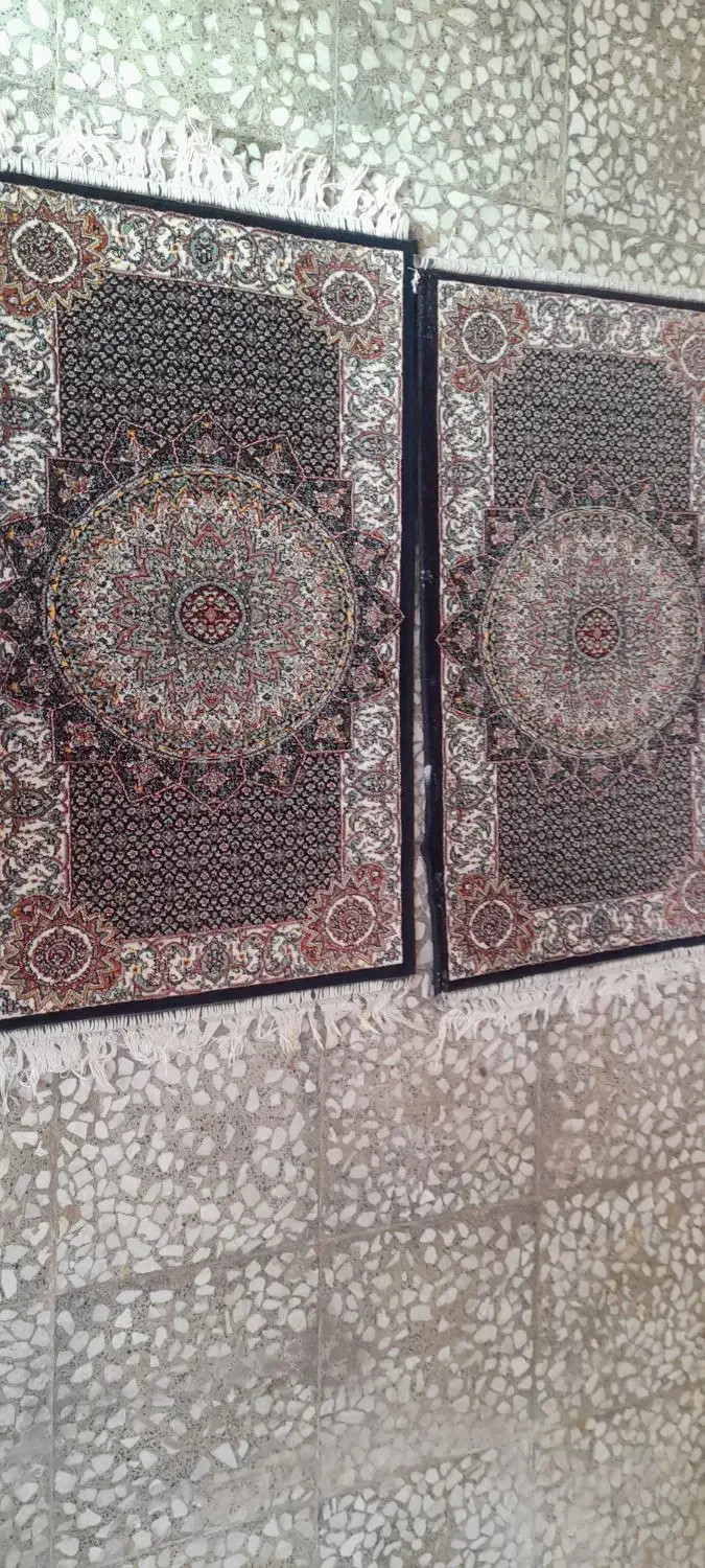 پادری سرمه ای|پادری|میاندوآب, |دیوار