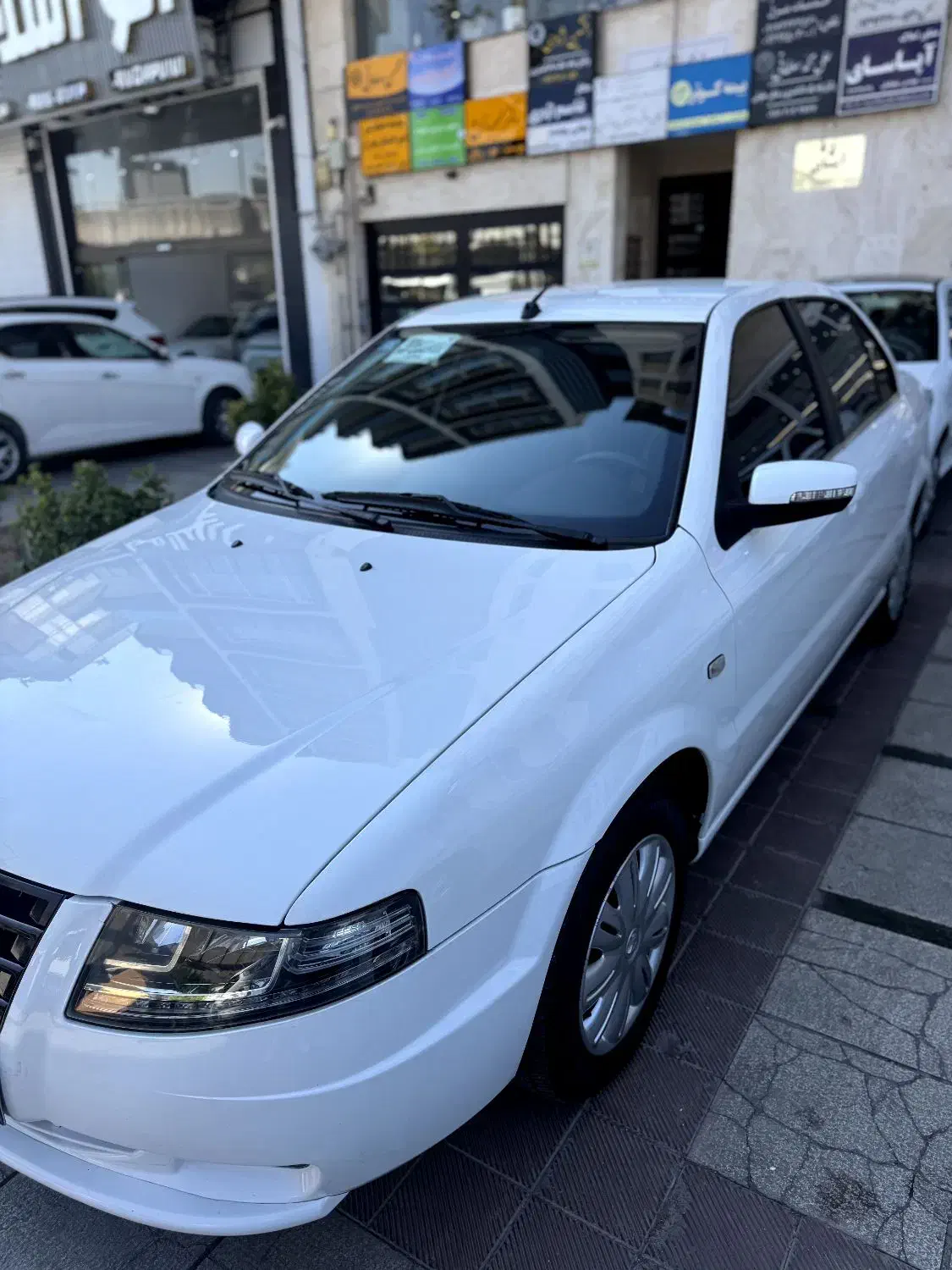 سمند سورن EF7 مدل 1403،نقد و اقساط|خودرو سواری و وانت|شیراز, فرهنگ شهر|دیوار