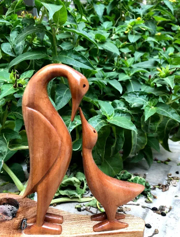 اموزش پیکر تراشی چوب|خدمات آموزشی|شیراز, دکتر حسابی|دیوار