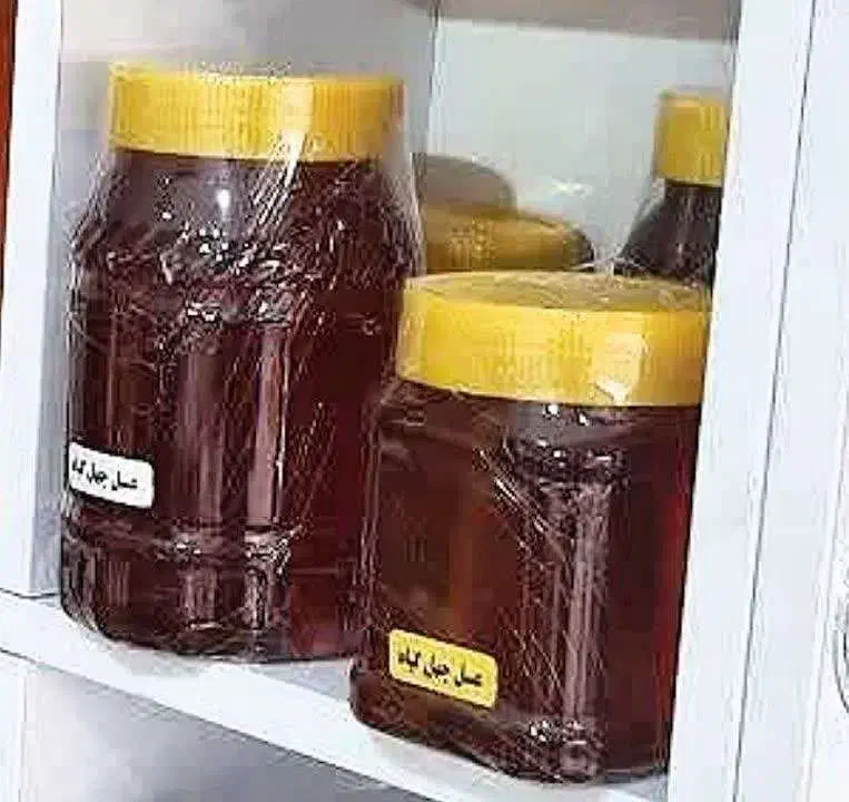 ادمینی و کانال داری|استخدام رایانه و فناوری اطلاعات|گتاب, |دیوار