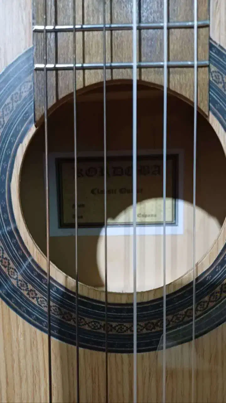 گیتار|گیتار، بیس، امپلیفایر|رشت, حومه رشت|دیوار