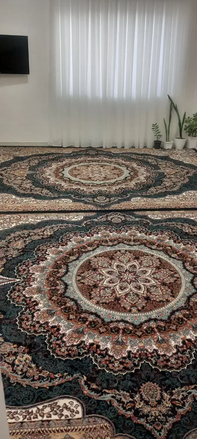دو عدد فرش 12متری به همراه 2جفت پشتی|فرش|سبزوار, صالح آباد|دیوار