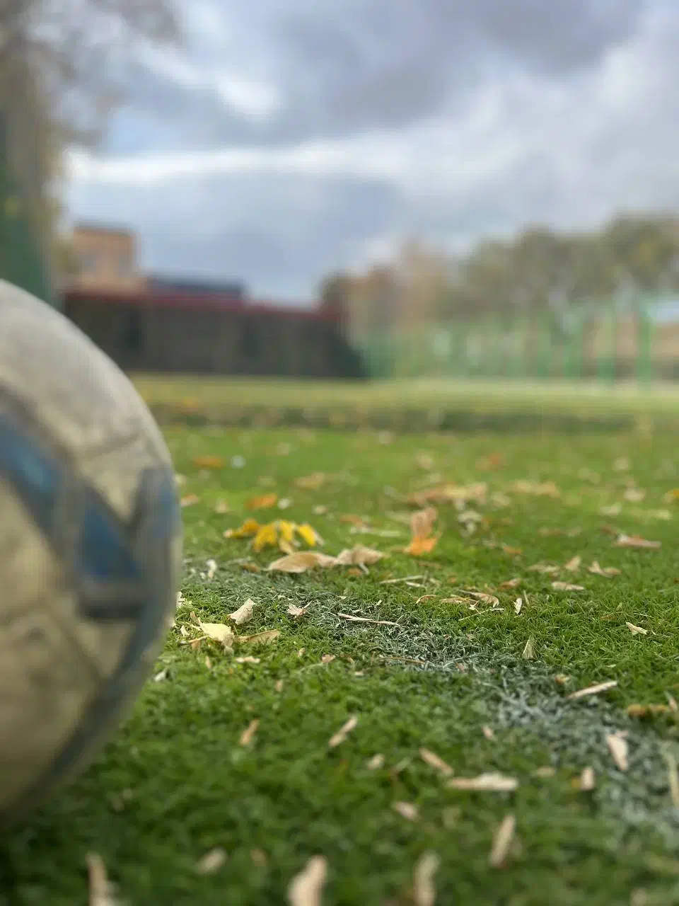 سالن و چمن ورزشی|اجارهٔ کوتاه‌مدت دفتر کار و فضای آموزشی|تبریز, |دیوار