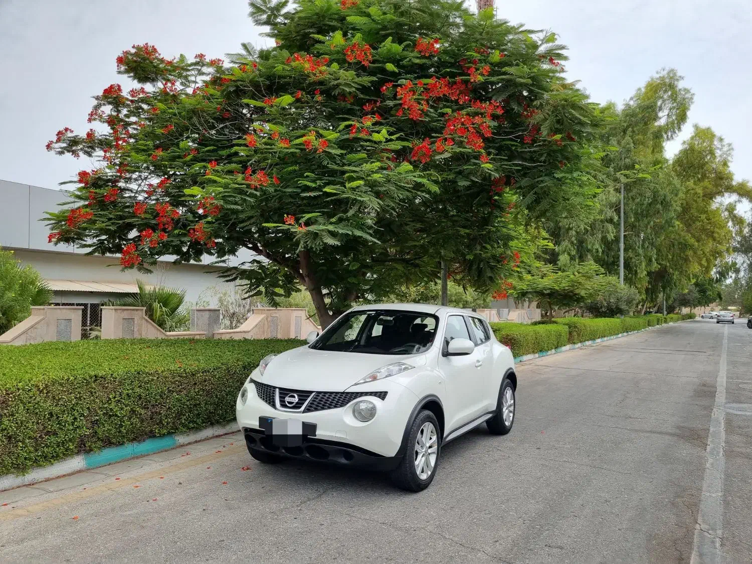 اجاره ماهیانه نیسان جوک|خودرو اجارهای|کیش, |دیوار