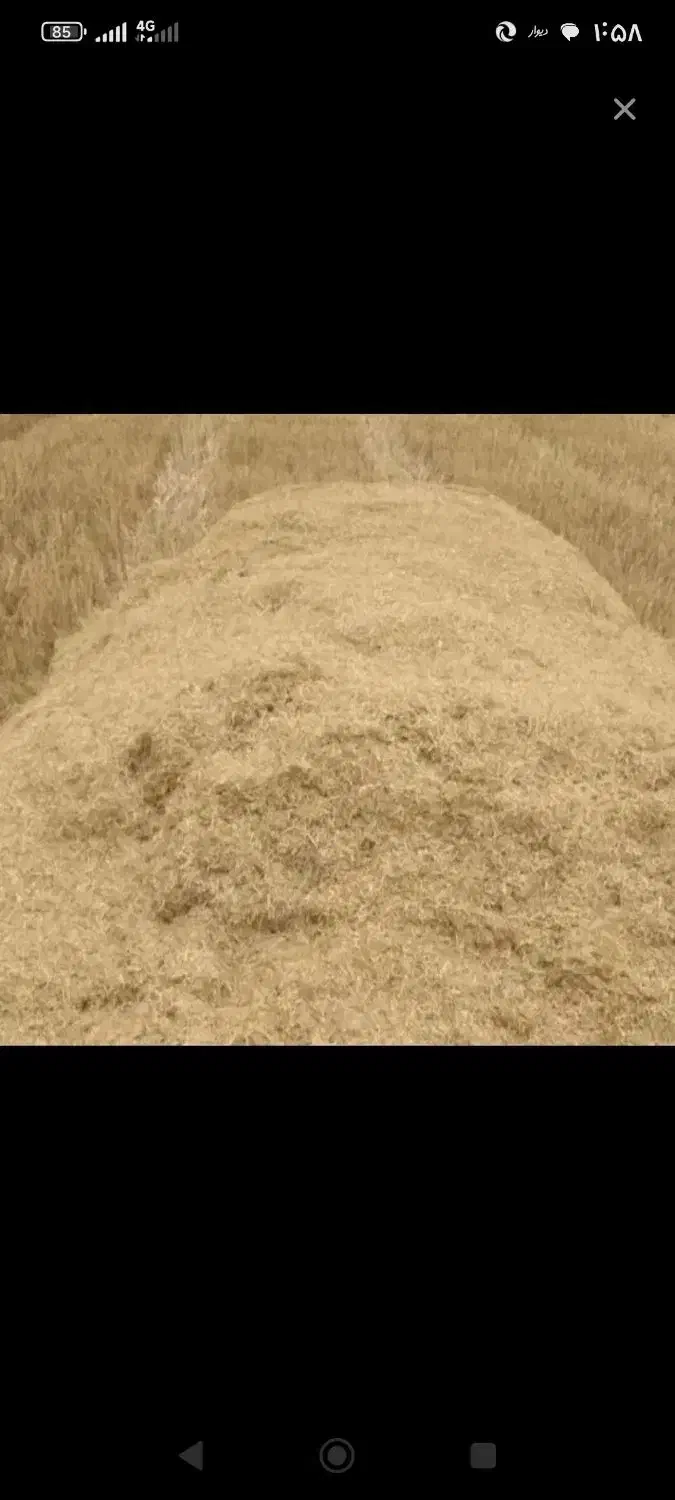 کاه فروشی|حیوانات مزرعه|فاروج, |دیوار