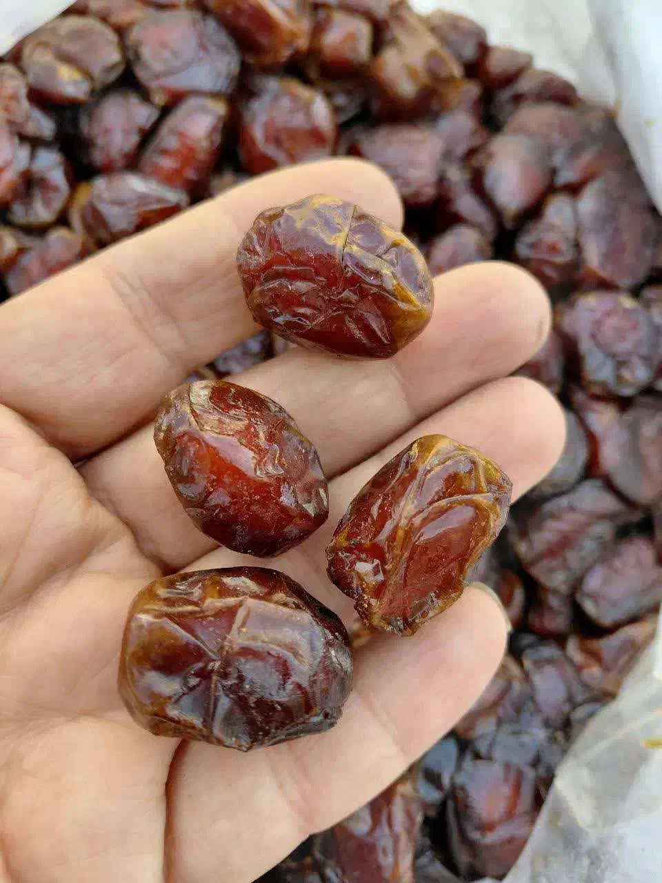 خرما مرداسنگ آلوچه ای زاهدی کبکاب پیارم|خوردنی و آشامیدنی|یزد, |دیوار