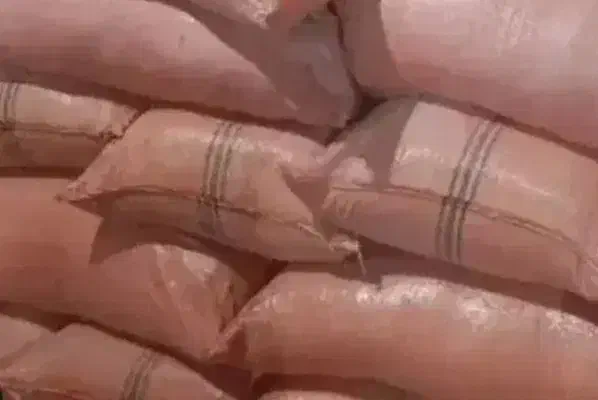 کاه  کوبیده علف|حراج|بجنورد, |دیوار