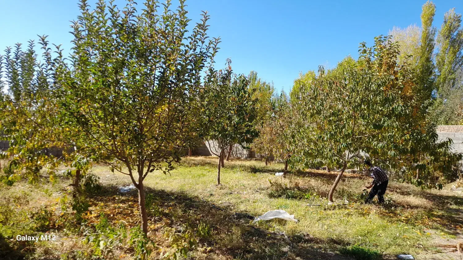 فروش باغ ویلایی|فروش خانه و ویلا|هریس, |دیوار