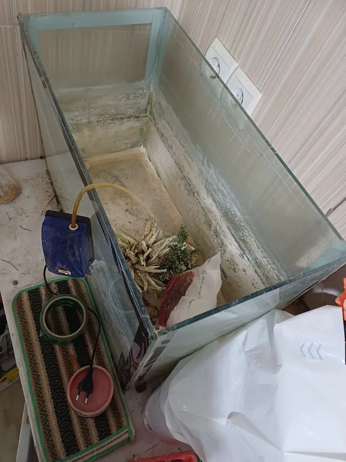 آکواریوم و بوفه|ماهی|بیرجند, |دیوار