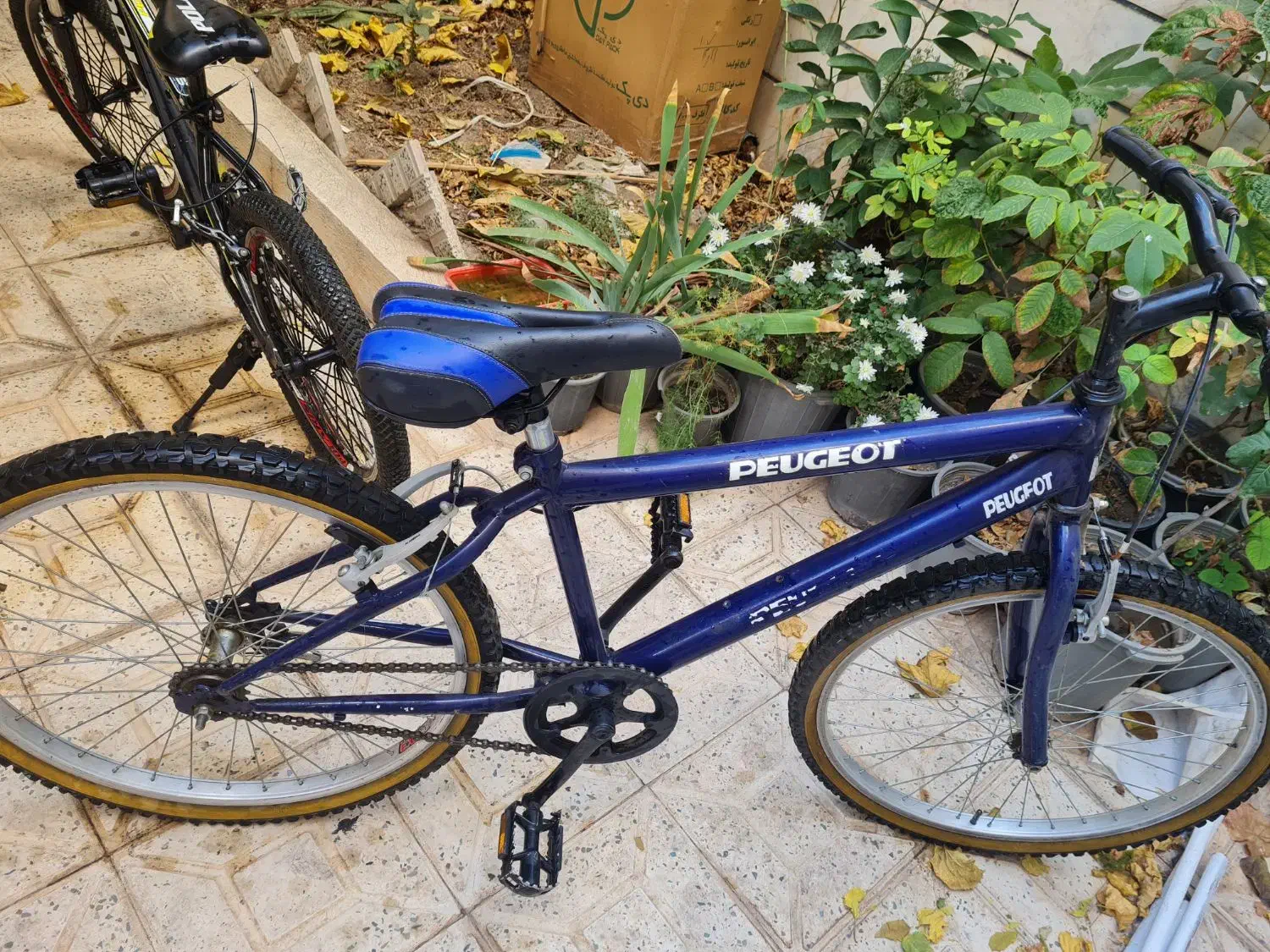 دوچرخه ۲۴ و ۲۶|دوچرخه، اسکیت، اسکوتر|قزوین, |دیوار