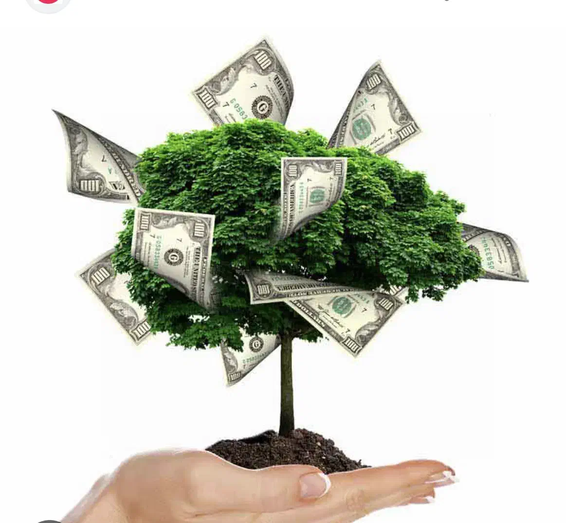 پرداخت وام و سرمایه میلیاردی|استخدام مالی، حسابداری، حقوقی|تهران, آجودانیه|دیوار