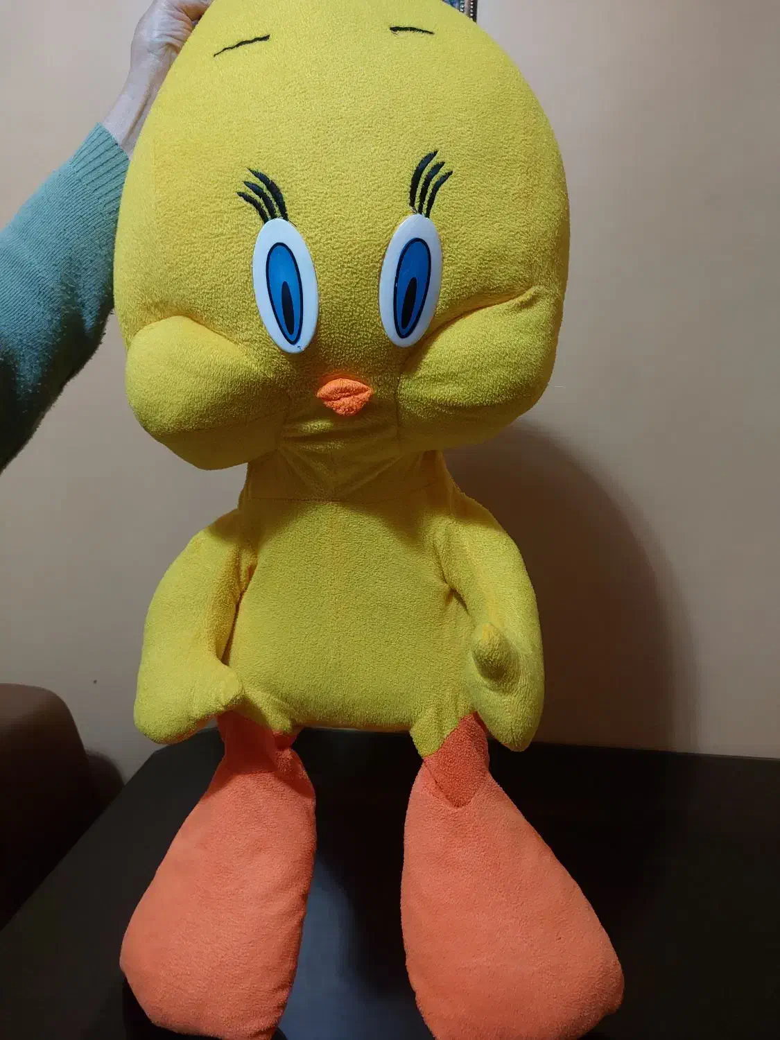 عروسک|اسباب‌بازی بچه|ماکو, |دیوار