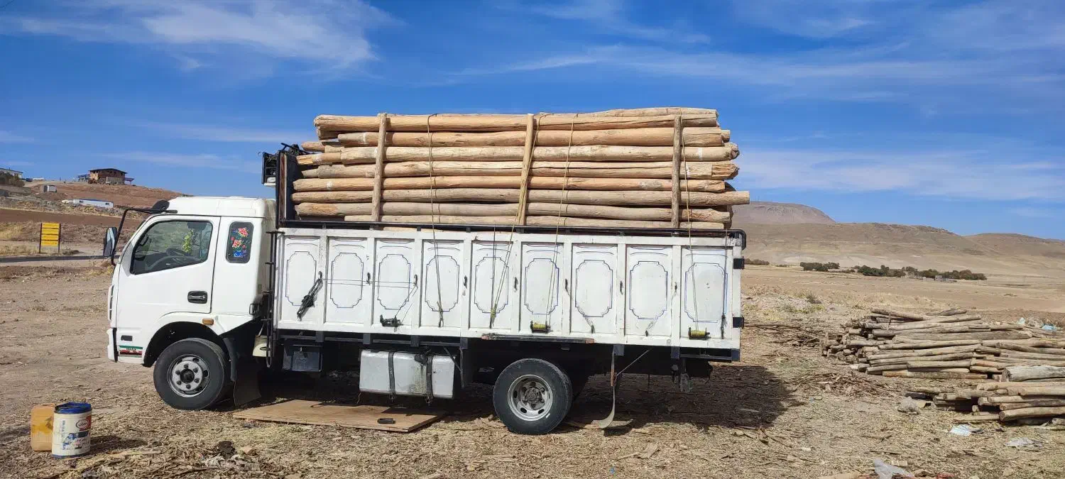 چوب فروشی و مرکز جمع آوری انواع چوب|عمده‌فروشی|سنقر, |دیوار