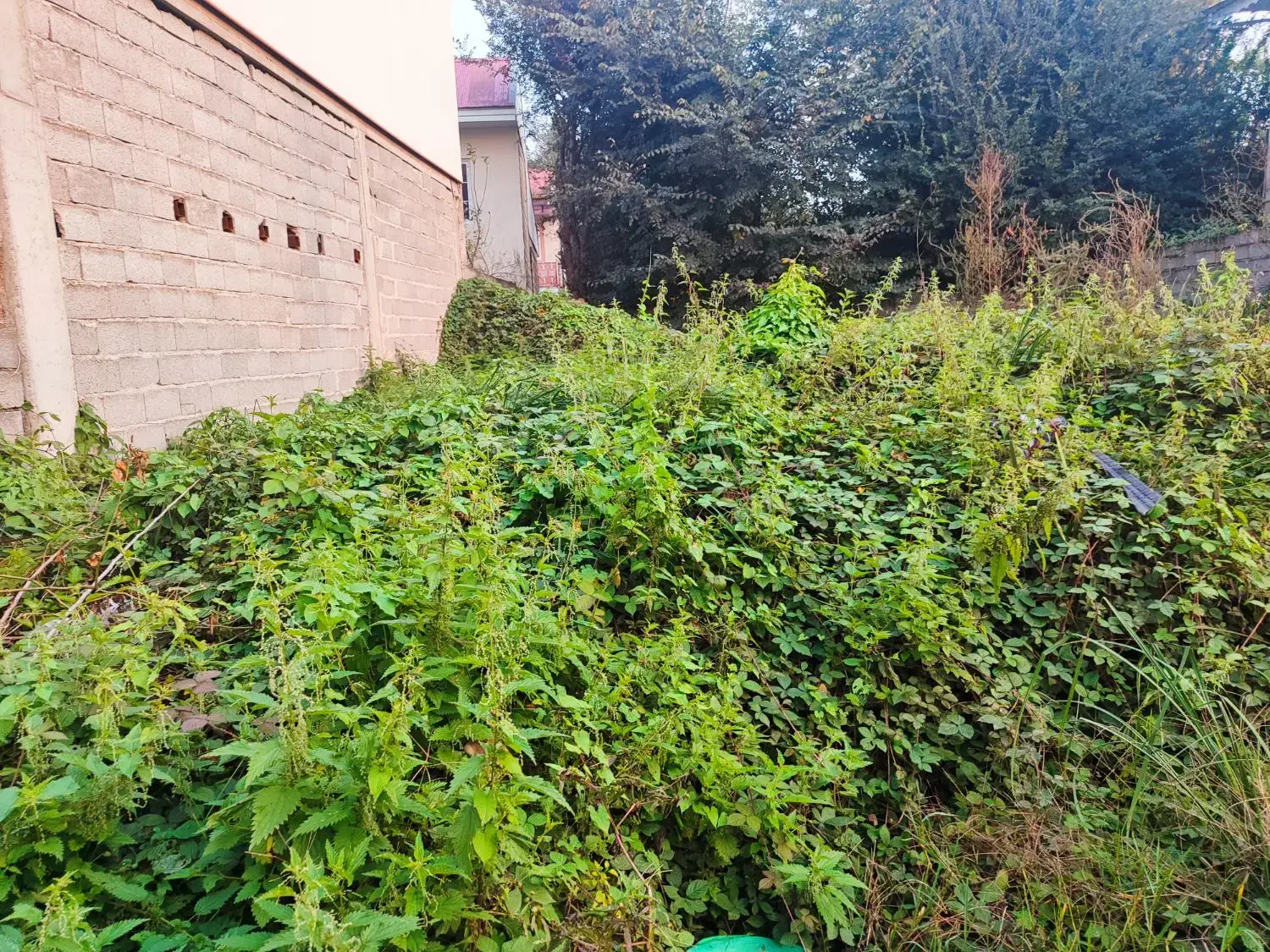 فروش یک قطعه زمین|فروش زمین و ملک کلنگی|سنگر, |دیوار